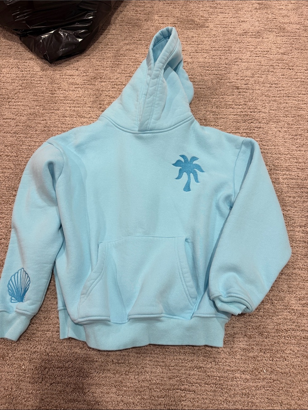Kids Light Blue Hooded Sweatshirt with Palm Graphic